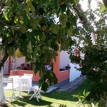 Traditional House In